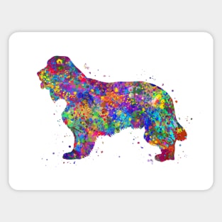 Cocker spaniel dog Sticker